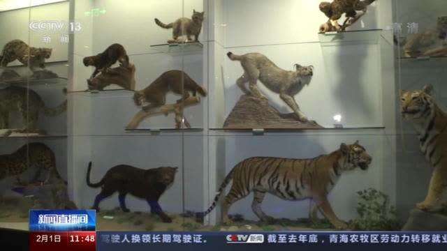 探秘国家动物博物馆 走进动物多样性的宝库