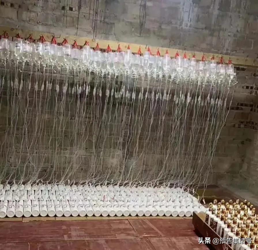 买204瓶茅台却有61瓶打孔酒！如何分辨打孔酒？