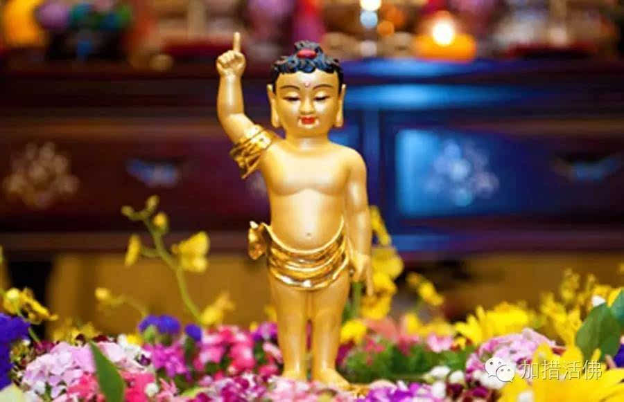 今年释迦牟尼过了两次生日！恭迎又一个浴佛节