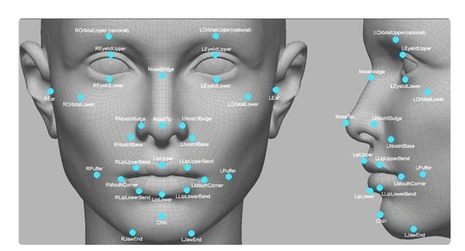 AI图像识别：人类看的是形状，算法看的是纹理