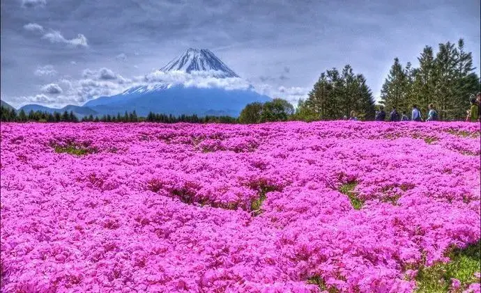 外国人选出了“日本最美的31处旅行地”，很多连日本人都不知道