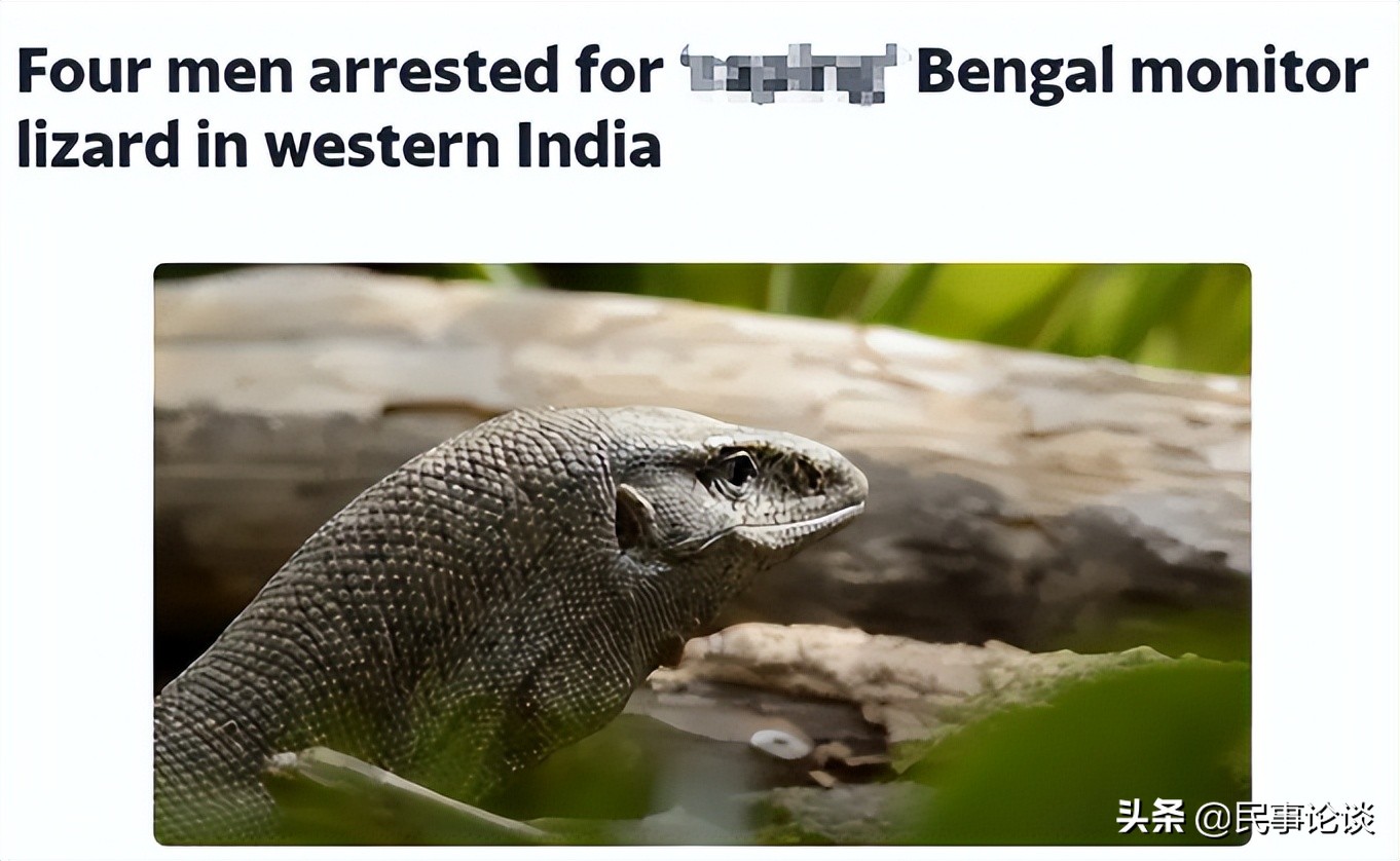 印度三哥刷三观，4名男子难耐寂寞侵犯蜥蜴，各国网友：理解不了