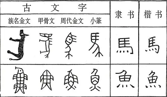 汉字的起源与演变