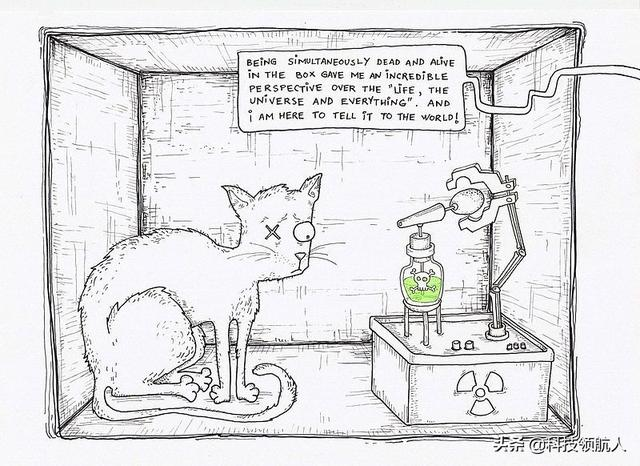 薛定谔的猫理论，薛定谔的猫有什么现实意义