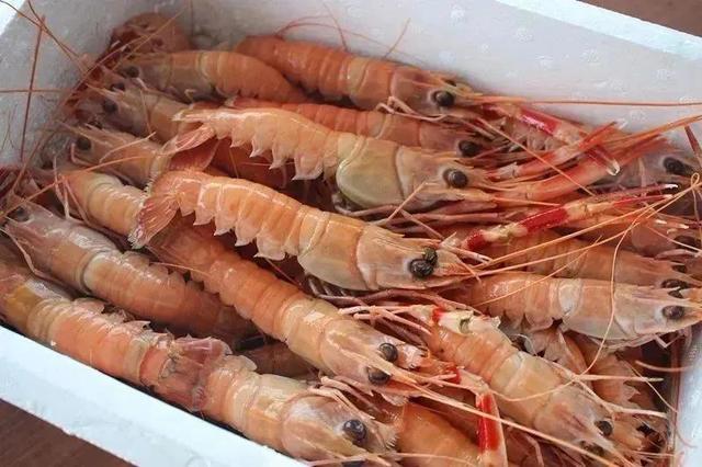 海虾的种类及图片及价格