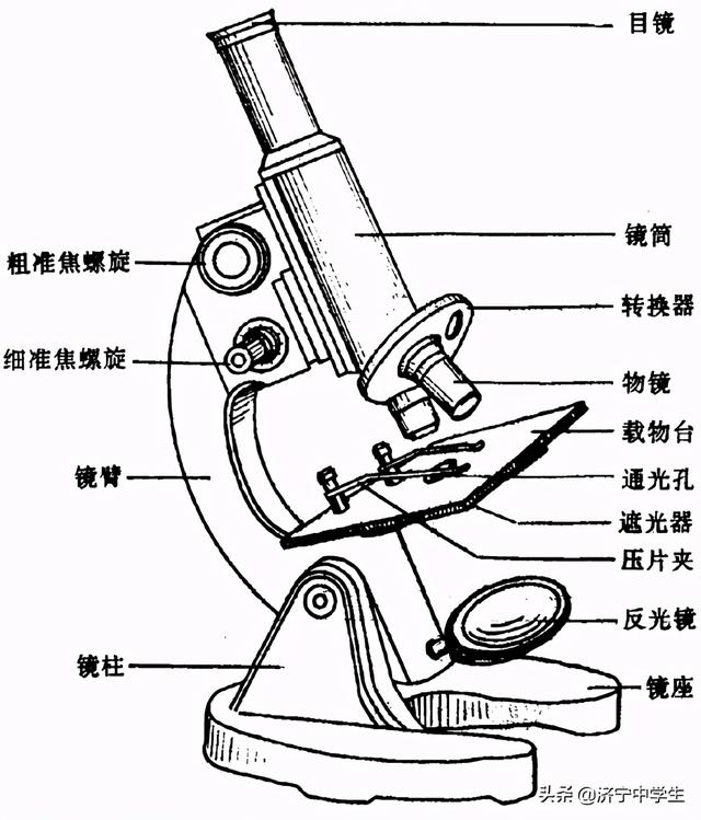 显微镜使用方法及步骤（显微镜结构图和名称和作用）