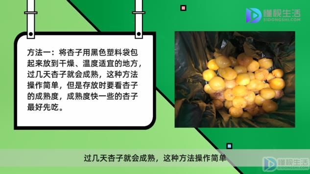 杏子怎么放置自然成熟(杏子是热性还是凉性的？)