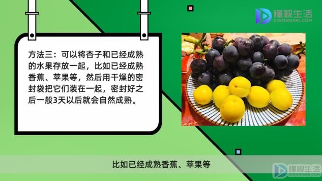 杏子怎么放置自然成熟(杏子是热性还是凉性的？)