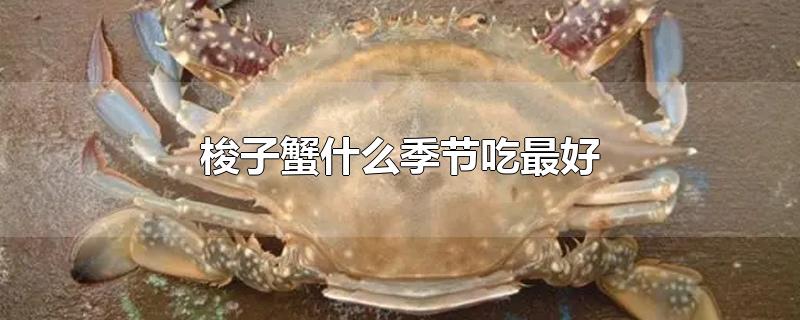 梭子蟹什么季节吃最好,1一12月吃当季海鲜表（挑选梭子蟹绝招）