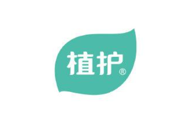 中国卫生纸品牌排行2021(中国十大卫生纸品牌)