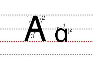 字母表大小写的正确书写格式