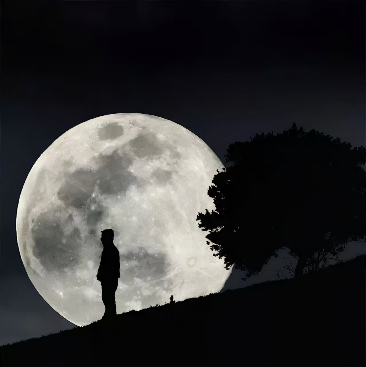 描写月亮的现代诗有哪些（关于月亮的短诗现代诗欣赏）