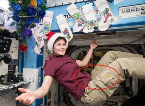 女性宇航员的数量越来越多！如何在狭小的飞船内保障她们的隐私？