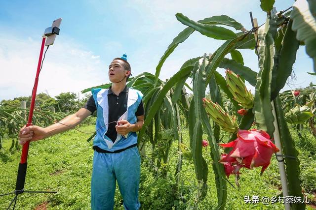 中国现在农业种植如何创新、创业挣钱呢？(目前最有前景的种植业？)