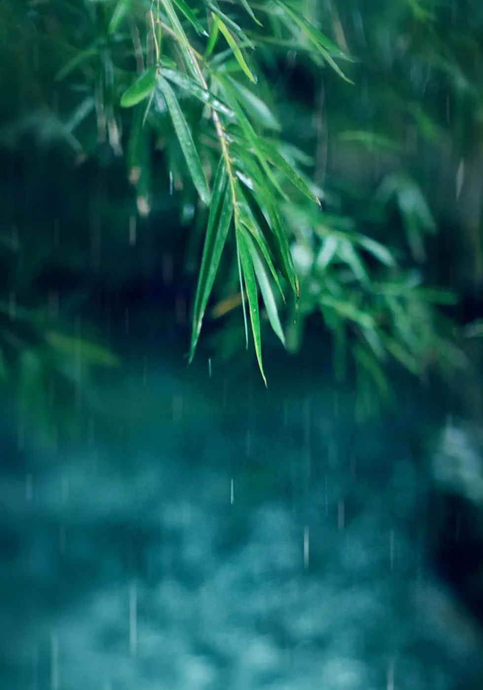 关于雨的诗句有哪些（描写雨景的12首唯美古诗词）