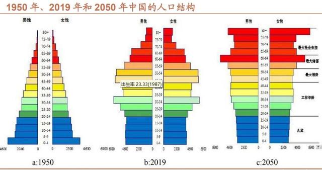 中国人平均寿命是多少?2021男女