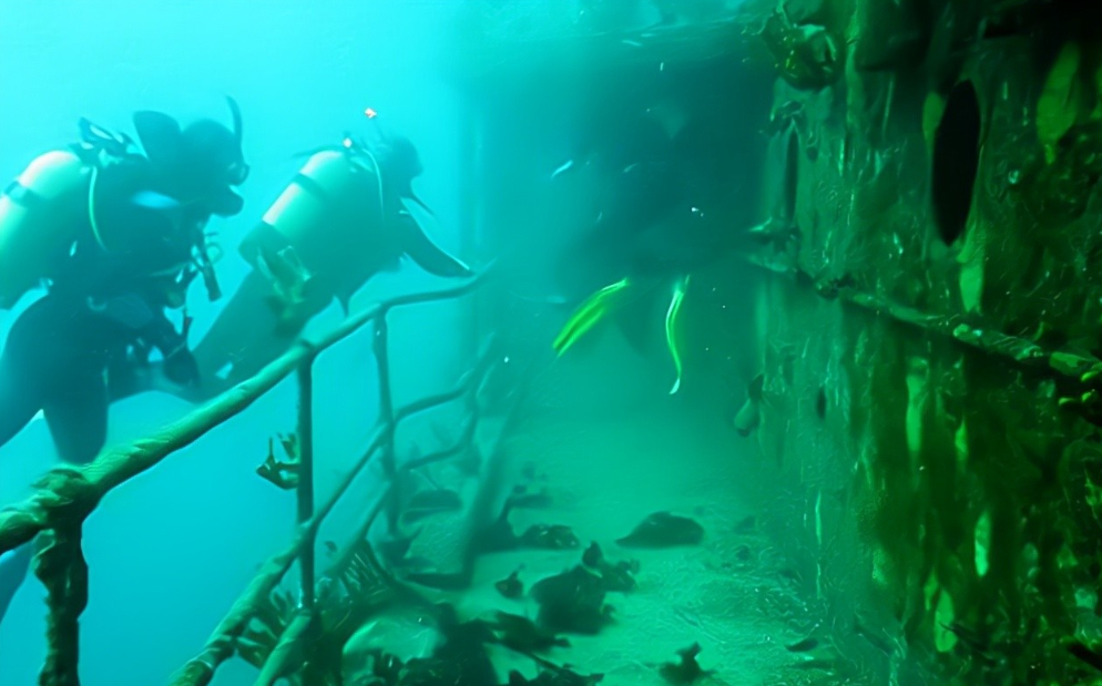 男子被困30米深海底，却顽强生存3天最终获救，他是如何保命的？