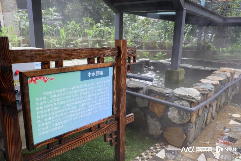 华南首个！碳中和主题园落户广州越秀公园