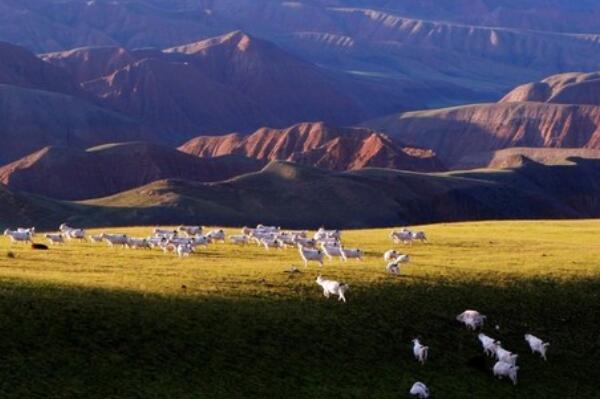 中国十大最美牧场，天山牧场上榜，第一是南方仅有的高山牧场