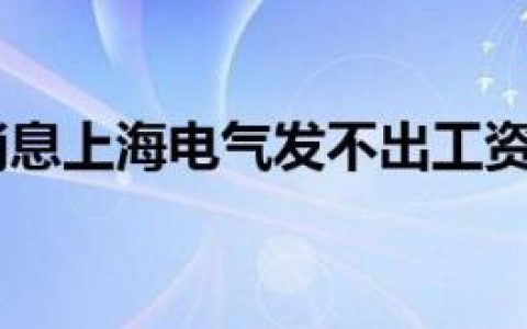 今日最新消息上海电气发不出工资公司否认拖欠传闻