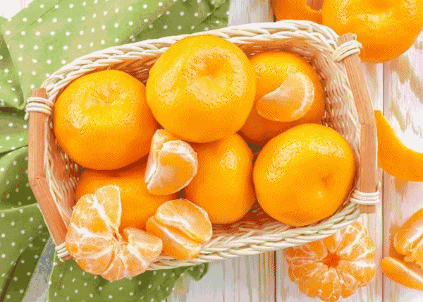 橘子产地在哪里？橘子的主要产地分布和生长环境介绍