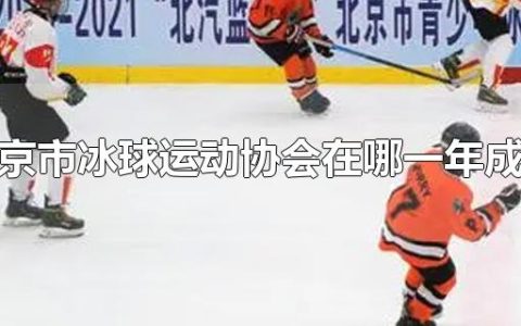 北京市冰球运动协会在哪一年成立