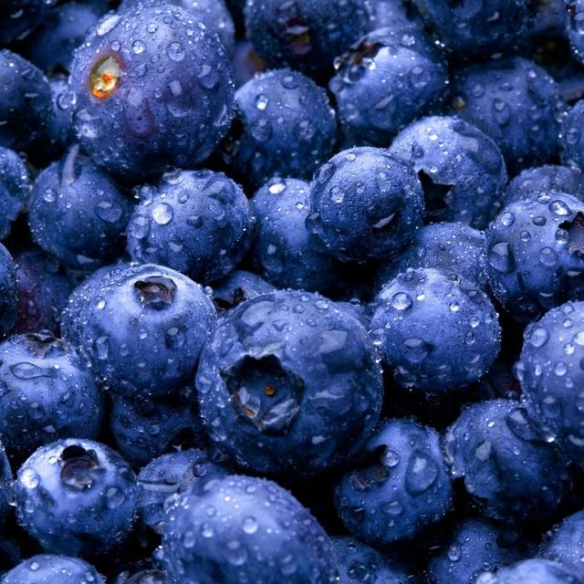 怀孕吃蓝莓的好处(怀孕初期吃蓝莓的好处)