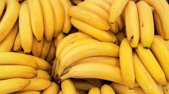 吃蒸香蕉的好处和坏处(吃干香蕉片的好处和坏处)