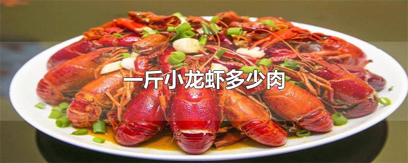 一斤小龙虾多少肉