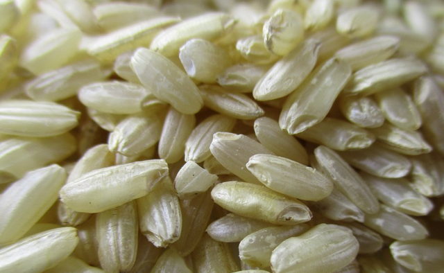 吃糙米的好处(糙米的功效与作用及禁忌 常吃糙米的好处)