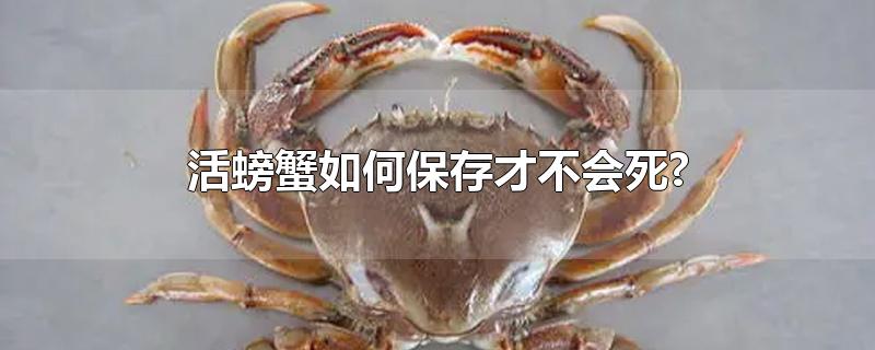 活螃蟹如何保存才不会死？