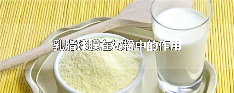 乳脂球膜在奶粉中的作用