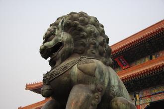 狮子的寓意及象征（狮子成为中国文化的典型象征的原因）