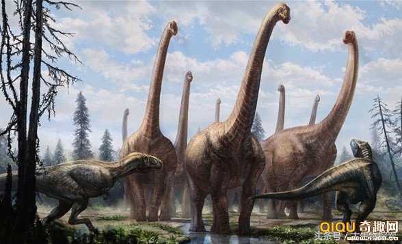马门溪龙的介绍与图片（中国百年十大恐龙之一）